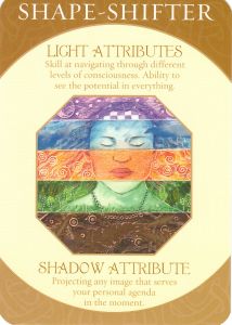 Shape-Shifter