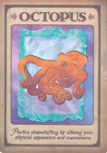 Octopus