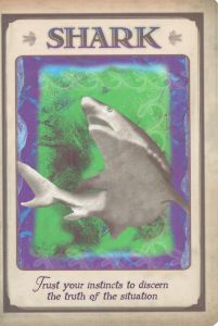 Shark